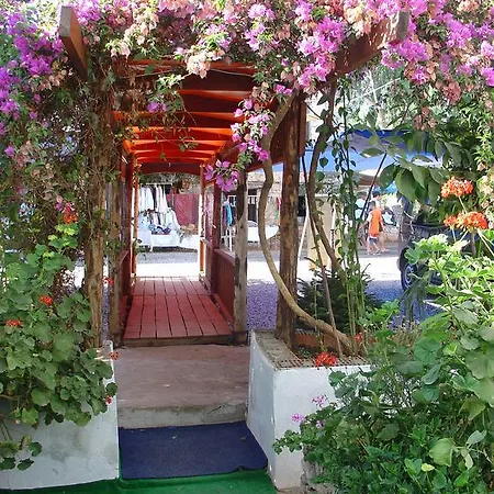 Homestay Onur