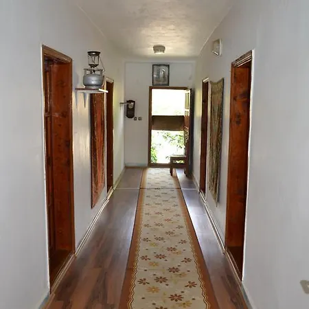 Homestay Onur *